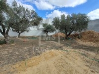 à vendre un terrain 120MD à MREZGA 51333131