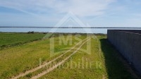 à vendre un Terrain 2450m² à KORBA 51333131