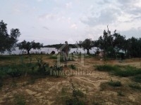à VENDRE UN TERRAIN 3000m² à HAMMAMET SUD 51333131