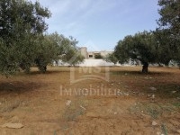 à vendre un terrain 318m² à HAMMAMET NORD 51333131