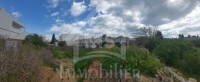 à vendre un Terrain 399m² à HAMMAMET 51333131