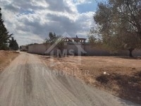 à Vendre Un Terrain 90MD à HAMMAMET SUD 51333131