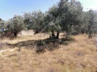 à vendre un TERRAIN à BirBouragba 51333131