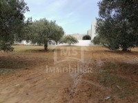 à vendre un terrain à hammamet nord 51333131