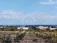 à VENDRE UN TERRAIN à HAMMAMET SUD 51333131