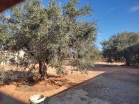 à vendre un TERRAIN à HAMMAMET SUD 51333131