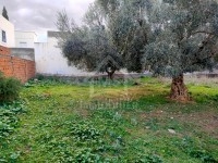 à vendre un terrain à HAMMAMET SUD 51333131