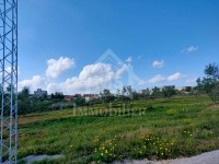 à Vendre un Terrain à Hammamet sud 51333131