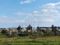 à Vendre un Terrain à Hammamet sud 51333131