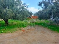 à Vendre un Terrain à HAMMAMET SUD 51333131