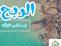 à vendre un terrain à HAMMAMET SUD 51333131