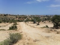 à vendre un terrain à MREZGA 51333131