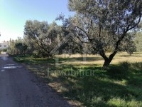 à VENDRE UN TERRAIN à MREZGA 51333131
