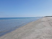 A vendre un terrain de 01 ha titre foncier 