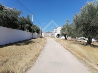 à vendre un terrain sur deux façades à BIRBOURAGBA