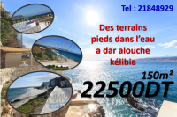 affaire a ne pas rater