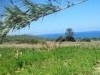 Agricole et à batir