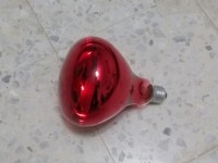 Ampoule infrarouge à vis E27 220V 250W pour lampe 
