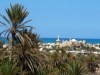 Appartement 1-RDC-Résidence la Palmeraie de l’Ile