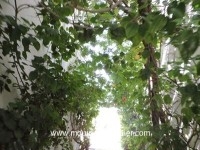 Appartement Coala AV1122 Hammamet 