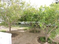 Appartement Ihsen réf AL2091 Hammamet