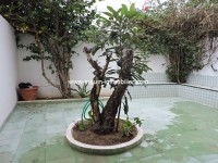 Appartement Le Chandelier ref AL1982 Hammamet