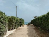 APPARTEMENT LES MIMOSAS Hammamet Nord AL2944