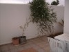 APPARTEMENT LES VERGERS