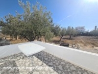 APPARTEMENT LINDA 1 Hammamet Nord I AL3069