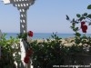 Appartement Max reference AL1084 Hammamet
