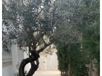 Appartement Nahrawes 2 AL1223 Hammamet Nord 