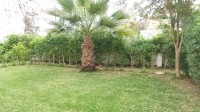 Appartement NAYFER (Réf: V346)