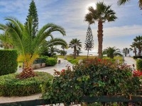 Appartement OCEANA 2 (Réf: V1179)