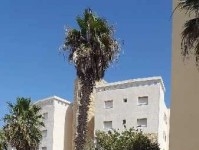 Appartement s+2 à vendre à la zone touristique  