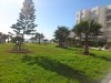 appartement s+2 vue sur mer 
