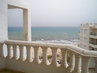 Appartement Tulipe AL1319