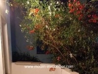 APPARTEMENT YANIS Hammamet Nord  AL2465