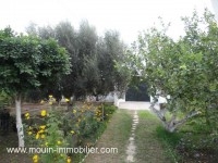 APPARTEMENT ZINA Hammamet Sud AL911
