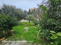 Appartements Nahrawes AL3681 Hammamet Nord 