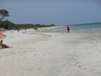 Au cap bon un terrain au bord de la mer 