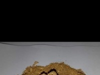 Belle affaire d'or a saisir