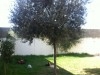 Belle villa a Gammarth