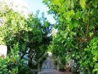 Belle villa avec jardin à louer à Hammamet51355351