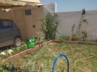 Belle villa avec jardin à vendre à Hammamet Sud 
