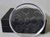 Bio disc 