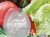 BioDisc