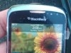blackberry curve 9300