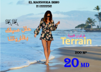 bonne affaire terrain 800m de plage kerkouane 