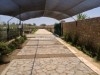 Bouficha