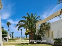 Bungalow Du Palmier AL2620 Jinen Hammamet 